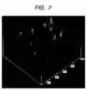 Fig. 08 - Organic thin film, method of producing the same, and field effect transistor using the same