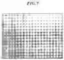 Fig. 08 - System for visualizing flow and measuring velocity field using X-ray particle image velocimetry