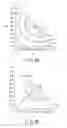 Fig. 08 - Light irradiation apparatus, crystallization apparatus, crystallization method, semiconductor device and light modulation element