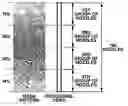 Fig. 01 - Recording apparatus and method
