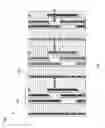 Fig. 07 - Method and apparatus for providing combined radial and timing multislot self-servowrite propagation