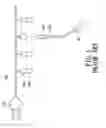 Fig. 02 - Ornamental light string