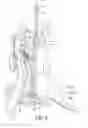 Fig. 06 - Ornamental light string