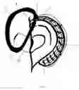 Fig. 02 - Method for obtaining real ear measurements using a hearing aid