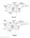 Fig. 06 - APC process parameter estimation
