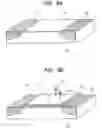 Fig. 06 - Detection system for biological substances