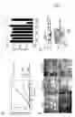 Fig. 06 - Cross-beta structure comprising amyloid-binding proteins and methods for detection of the cross-beta structure, for modulating cross-beta structures fibril formation and for modulating cross-beta structure-mediated toxicity