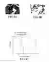 Fig. 10 - Immunoconjugates targeting syndecan-1 expressing cells and use thereof