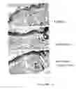 Fig. 03 - Methods and compositions for enhancing collagen and proteoglycan synthesis in the skin