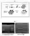 Fig. 02 - Method for preparing surfactant-templated, mesoporous low dielectric film