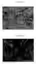 Fig. 07 - Nanostructures, nanogrooves, and nanowires