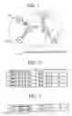 Fig. 02 - Wireless communication system, relay station device and base station device