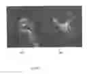 Fig. 02 - Haptic apparatus