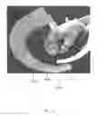 Fig. 07 - Haptic apparatus