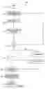 Fig. 09 - System and method for selecting targets for sales and marketing campaigns