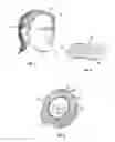 Fig. 02 - Ear cover
