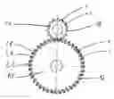 Fig. 01 - Gear protected against overloading