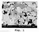 Fig. 02 - Cemented carbide