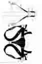 Fig. 02 - Child harness