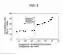 Fig. 06 - Fe-Cr-Si based non-oriented electromagnetic steel sheet and process for producing the same
