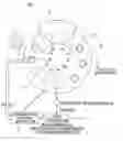 Fig. 01 - Apparatus for processing substrates