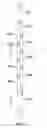 Fig. 11 - High capacity thin module system and method