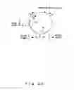 Fig. 28 - Optical switch and optical waveform monitoring device utilizing optical switch