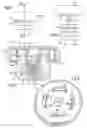 Fig. 03 - Packaging and applicator device