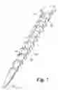 Fig. 08 - Ground anchors