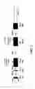Fig. 03 - Methods and compositions to evaluate antibody treatment response