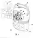 Fig. 02 - Bubble machine