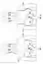 Fig. 02 - Half brassiare