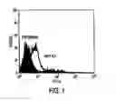 Fig. 02 - Method of up-regulating tumor antigen expression using thymalfasin