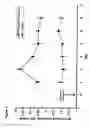Fig. 08 - Bone growth factor
