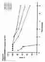 Fig. 09 - Bone growth factor