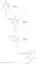 Fig. 40 - Pyridone derivatives having a binding activity to the cannabinoid type 2 receptor