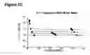 Fig. 03 - Compositions and methods for treating or preventing Hepadnaviridae infection