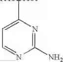 Fig. 310 - Viral polymerase inhibitors