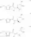 Fig. 08 - Peptide deformylase inhibitors