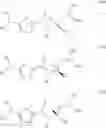 Fig. 12 - Peptide deformylase inhibitors