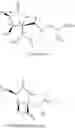Fig. 12 - Lactacystin analogs
