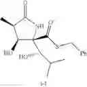 Fig. 13 - Lactacystin analogs
