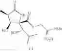 Fig. 15 - Lactacystin analogs