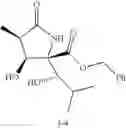 Fig. 16 - Lactacystin analogs