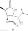 Fig. 17 - Lactacystin analogs