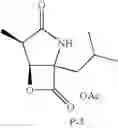 Fig. 19 - Lactacystin analogs