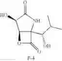 Fig. 20 - Lactacystin analogs