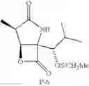 Fig. 22 - Lactacystin analogs