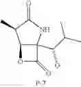 Fig. 23 - Lactacystin analogs