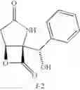 Fig. 25 - Lactacystin analogs